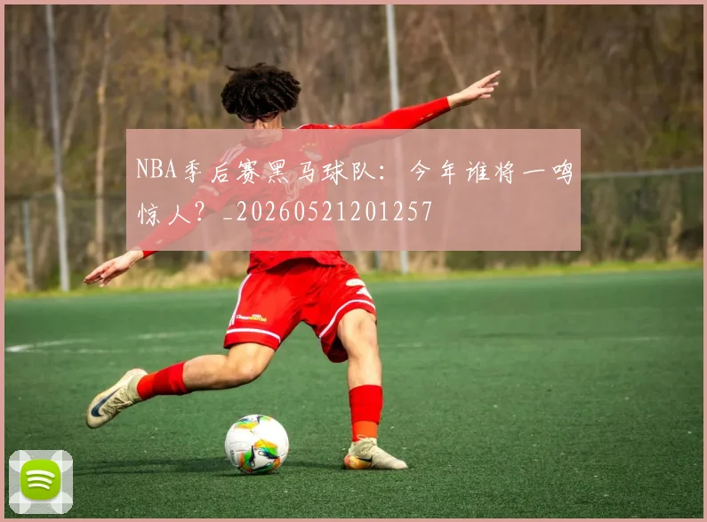 NBA季后赛黑马球队：今年谁将一鸣惊人？_20260521201257
