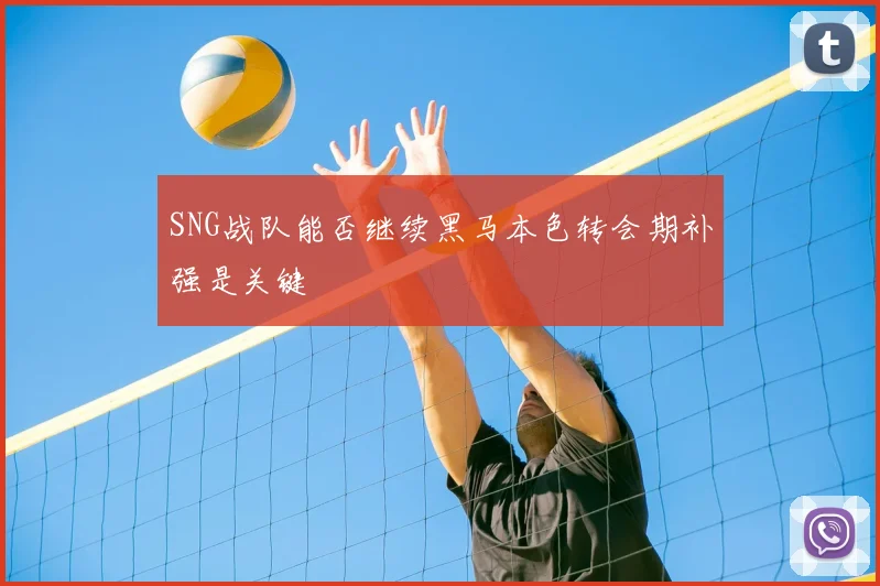 SNG战队能否继续黑马本色转会期补强是关键