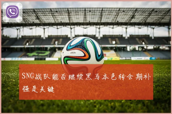 SNG战队能否继续黑马本色转会期补强是关键